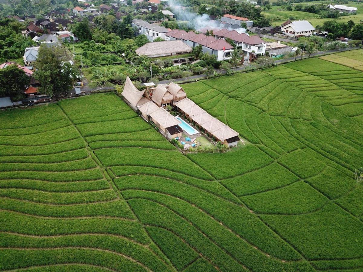 Апартаменты Moon Bamboo Чангу Экстерьер фото